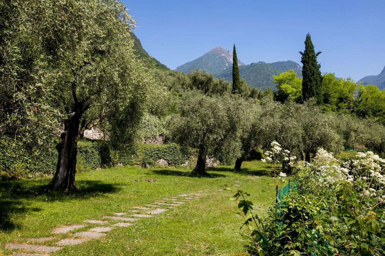 Casa O-Live Daire Riva del Garda Dış mekan fotoğraf